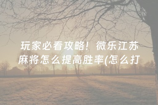 盘点十款“小程序万能麻将开挂”（透明挂辅助器)
