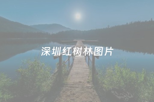 深圳红树林图片（深圳红树林图片 风景图片）