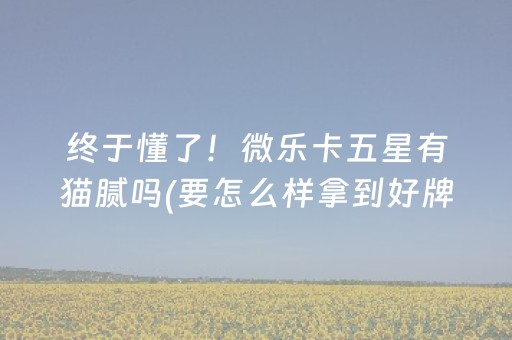 必备教程“微乐跑得快怎么让系统给自己发好牌”（必赢神器)