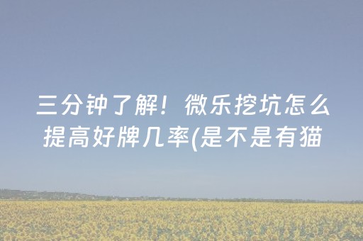 玩家必备“微乐三代小程序必赢神器”（胜负规律拿好牌)