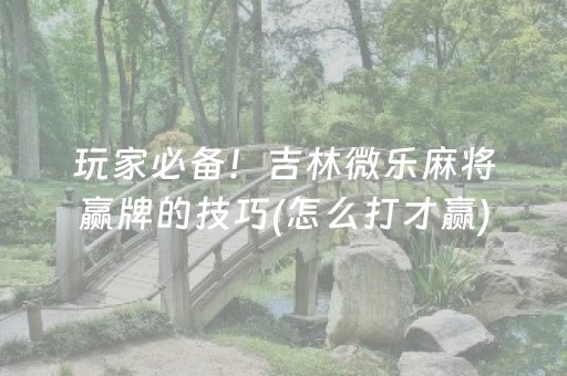 一分钟了解“微乐陕西麻将怎么才能拿到好牌”（专用神器)