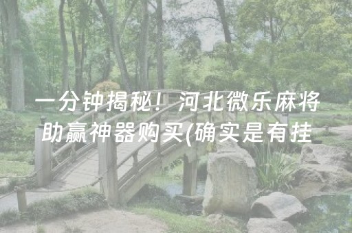 一分钟揭秘！河北微乐麻将助赢神器购买(确实是有挂)