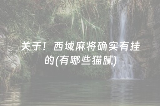 关于！西域麻将确实有挂的(有哪些猫腻)