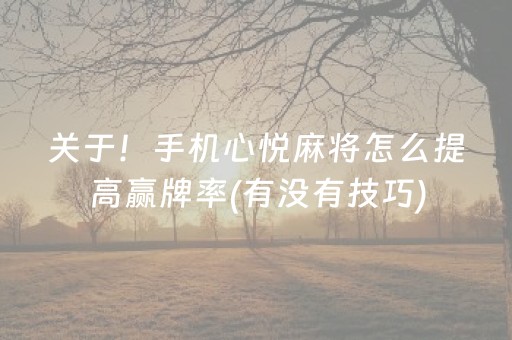 终于懂了“财神十三张辅助器”（究竟是不是有挂)