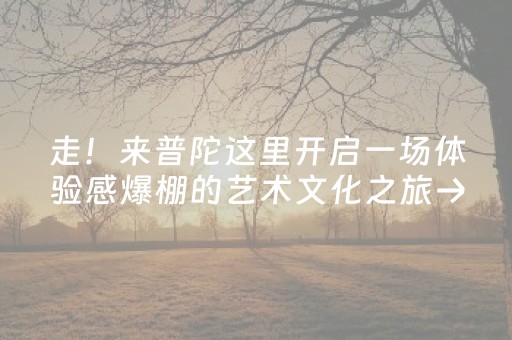 3分钟讲解“微乐麻将挂件神器”（怎么让系统给你发好牌)