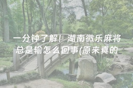 一分钟了解！湖南微乐麻将总是输怎么回事(原来真的有挂)