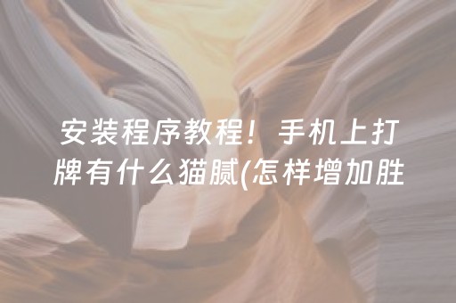 安装程序教程！手机上打牌有什么猫腻(怎样增加胜率)