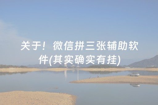 一分钟揭秘“微信小程序财神十三张胜率辅助器”（提高胜率技巧)