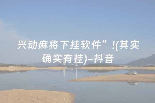 兴动麻将下挂软件”!(其实确实有挂)-抖音