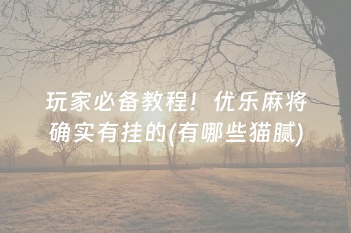 玩家必备教程！优乐麻将确实有挂的(有哪些猫腻)