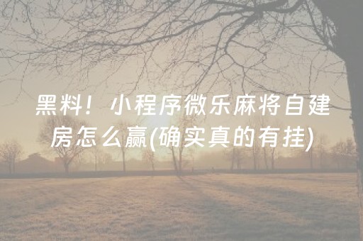 终于懂了“雀神麻将助赢神器购买”（充会员胜率高)