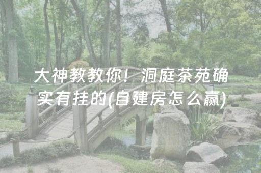 大神教教你“微乐海南麻将助赢神器”（输赢规律)