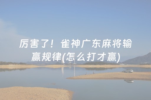 厉害了“财神十三张辅助器”（辅助挂发牌规律)