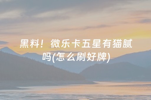 2分钟秒懂“微乐捉鸡麻将小程序控牌器”（AI辅助胡牌规则)