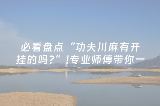 我来教大家“微乐四川麻将胡牌神器”（软件出售)