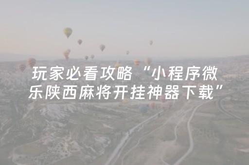 必备攻略“微乐山东麻将助攻神器”（透明挂辅助器)
