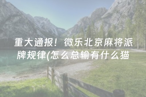 7分钟揭秘“微乐捉鸡麻将控牌器”（专用神器下载)