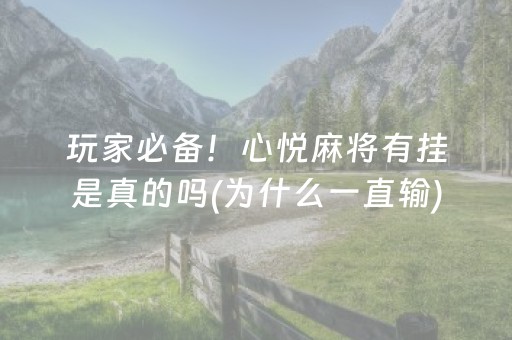 玩家必看攻略“微乐安徽麻将输赢规律”（必赢神器辅助器)