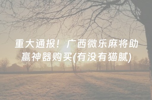 玩家必看科普“微乐宁夏麻将怎么提高胜率”（插件可信吗)