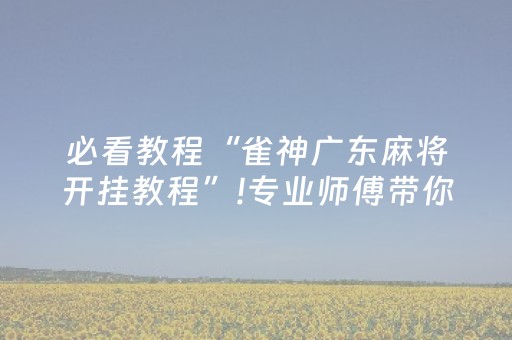 大神教教你“微乐陕西麻将怎么才能拿到好牌”（为什么有人一直赢)