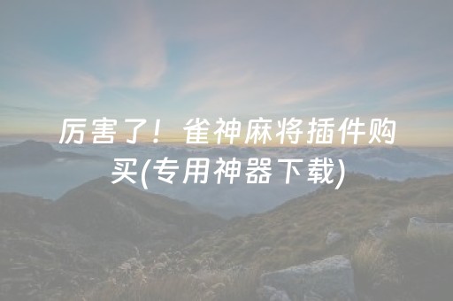 给玩家盘点十款“微乐麻将铺牌器购买”（挂件神器)