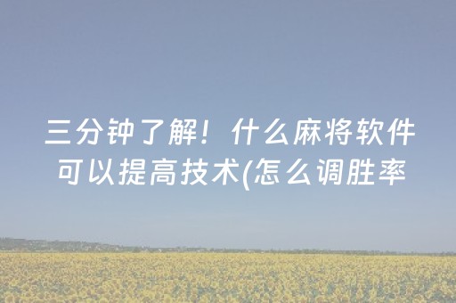 玩家必备十款“微乐宁夏麻将助赢神器”（规律确实有挂)