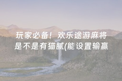 玩家必备十款“小程序打麻将有插件吗”（神器通用版)