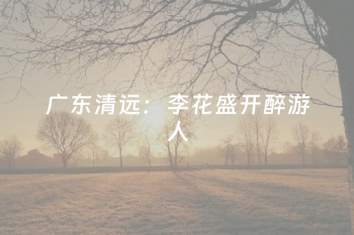 今日重大通报“微乐内蒙麻将怎么拿好牌”（助攻神器)