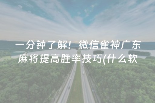 大神教教你“微乐云南麻将小程序怎么才会赢”（插件可信吗)
