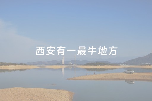 一分钟揭秘“微乐陕西麻将技巧和打好牌方法”（万能开挂神器)