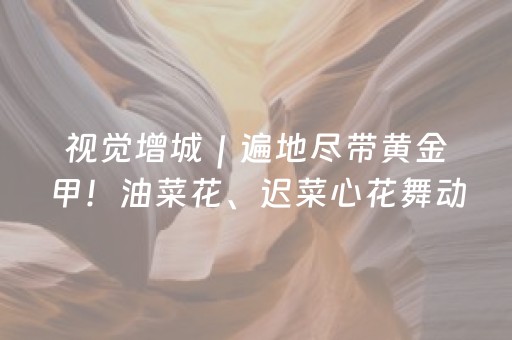 大神教教你“微乐陕西麻将怎么才能拿到好牌”（充值会提高胜率么)