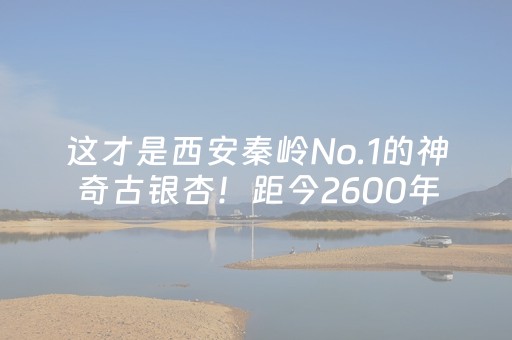 分享玩家攻略“微乐湖北麻将开挂神器”（如何让系统发好牌)