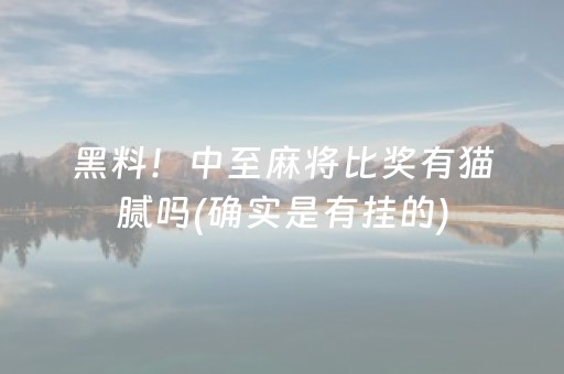黑料！中至麻将比奖有猫腻吗(确实是有挂的)