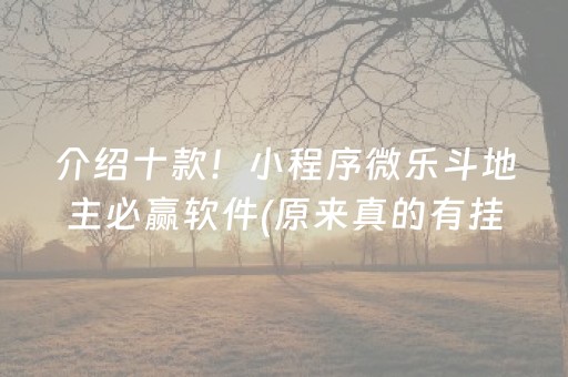 介绍十款！小程序微乐斗地主必赢软件(原来真的有挂呢)