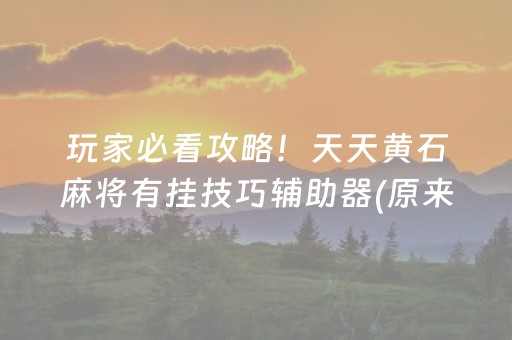 玩家必看攻略！天天黄石麻将有挂技巧辅助器(原来真的有挂)