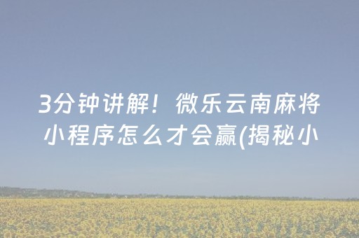 3分钟讲解！微乐云南麻将小程序怎么才会赢(揭秘小程序输赢规律)