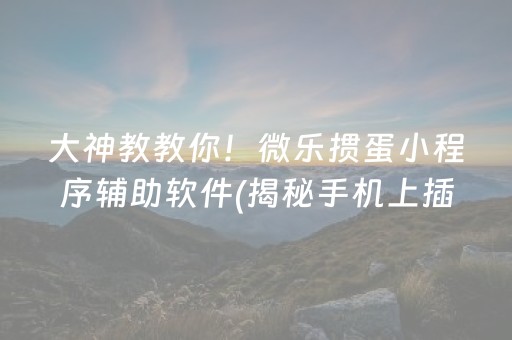 大神教教你！微乐掼蛋小程序辅助软件(揭秘手机上插件下载)