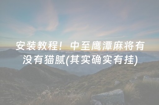 安装教程！中至鹰潭麻将有没有猫腻(其实确实有挂)