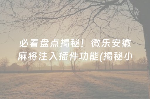 必看盘点揭秘！微乐安徽麻将注入插件功能(揭秘小程序专用神器)