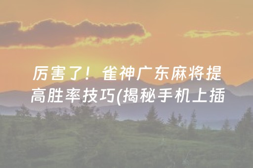 厉害了！雀神广东麻将提高胜率技巧(揭秘手机上插件下载)