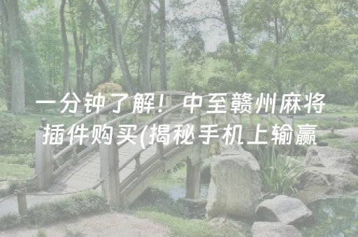 一分钟了解！中至赣州麻将插件购买(揭秘手机上输赢技巧)