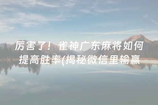 厉害了！雀神广东麻将如何提高胜率(揭秘微信里输赢规律)