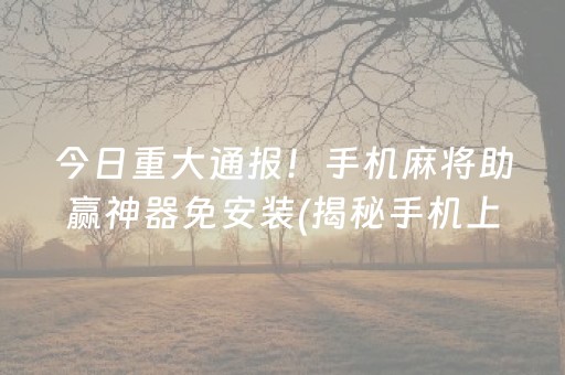 今日重大通报！手机麻将助赢神器免安装(揭秘手机上助手软件)