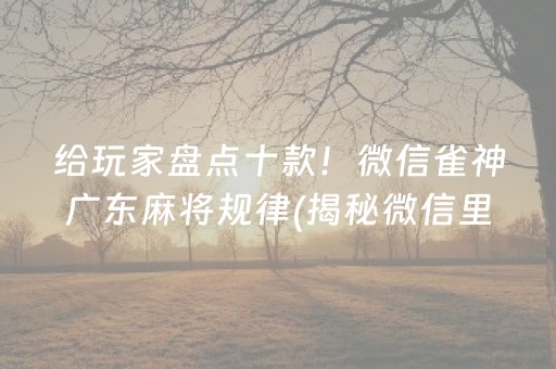 给玩家盘点十款！微信雀神广东麻将规律(揭秘微信里助赢神器购买)