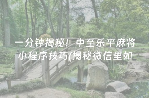 一分钟揭秘！中至乐平麻将小程序技巧(揭秘微信里如何让牌变好)