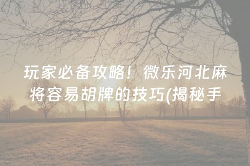 玩家必备攻略！微乐河北麻将容易胡牌的技巧(揭秘手机上攻略插件)