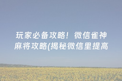玩家必备攻略！微信雀神麻将攻略(揭秘微信里提高赢的概率)