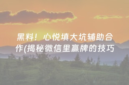 黑料！心悦填大坑辅助合作(揭秘微信里赢牌的技巧)