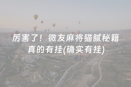 厉害了！微友麻将猫腻秘籍真的有挂(确实有挂)