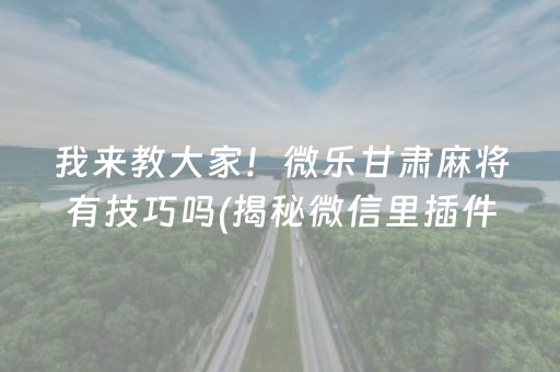 我来教大家！微乐甘肃麻将有技巧吗(揭秘微信里插件下载)